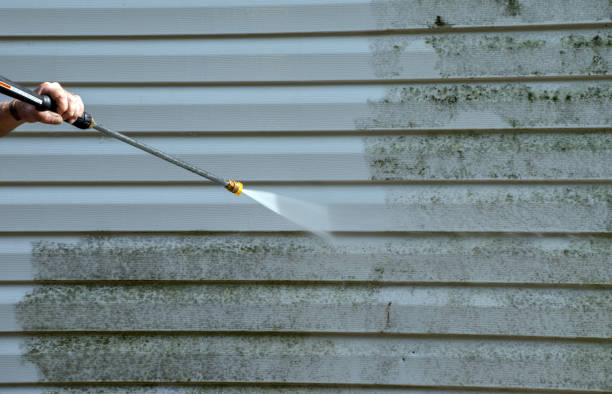 Mold Testing and Removal in Start, LA
